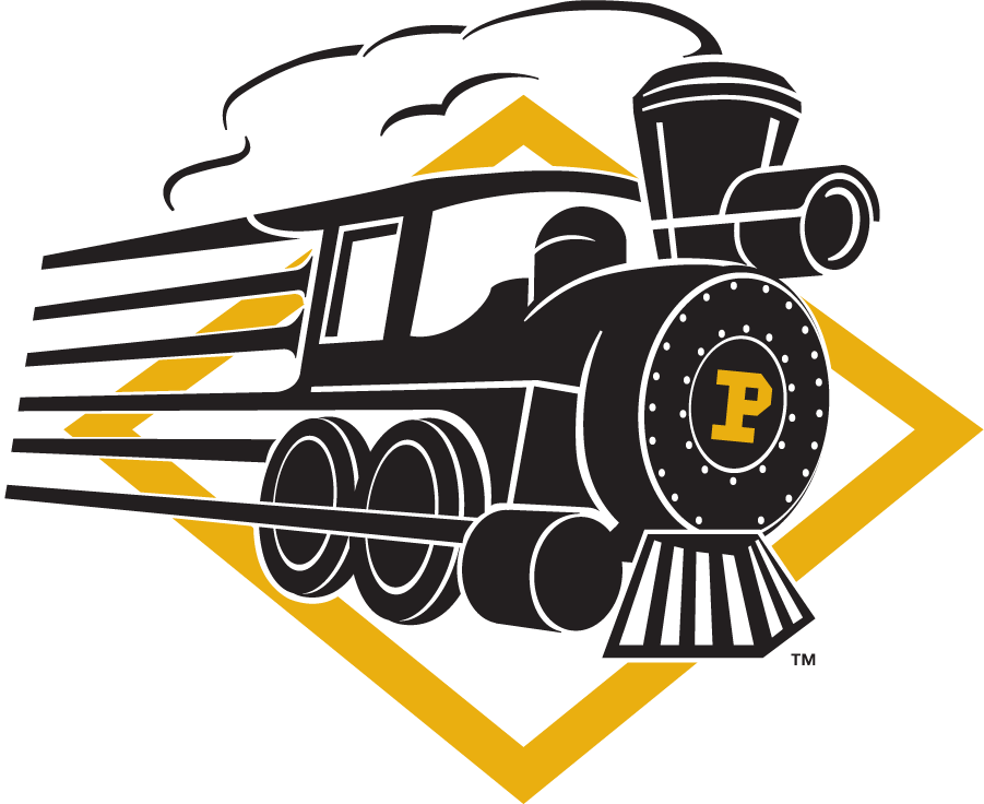 Purdue Boilermakers 1994-1996 Alternate Logo diy iron on heat transfer